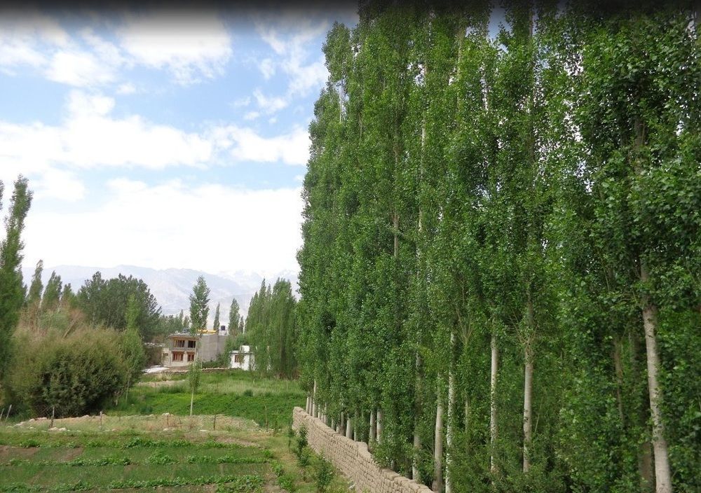 Hotel Holiday Ladakh Leh Extérieur photo