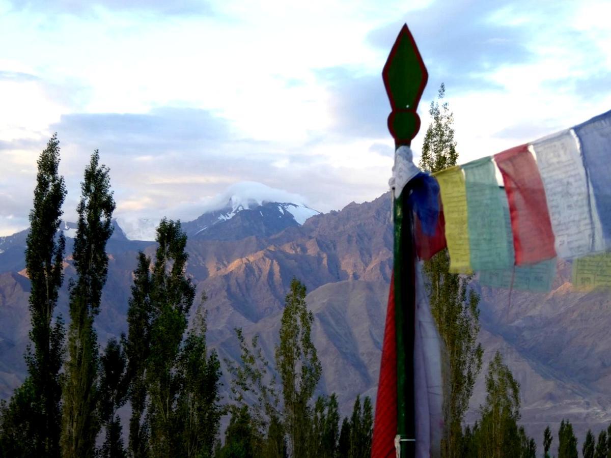 Hotel Holiday Ladakh Leh Extérieur photo